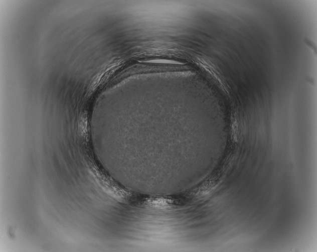 X0000100370407200806201632