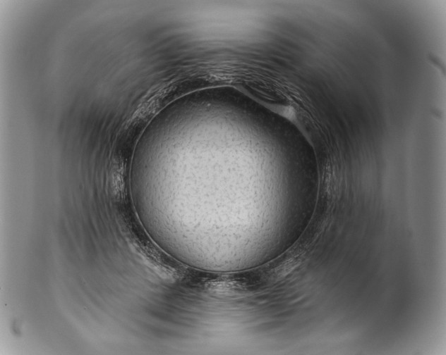 X0000100370408200806201632