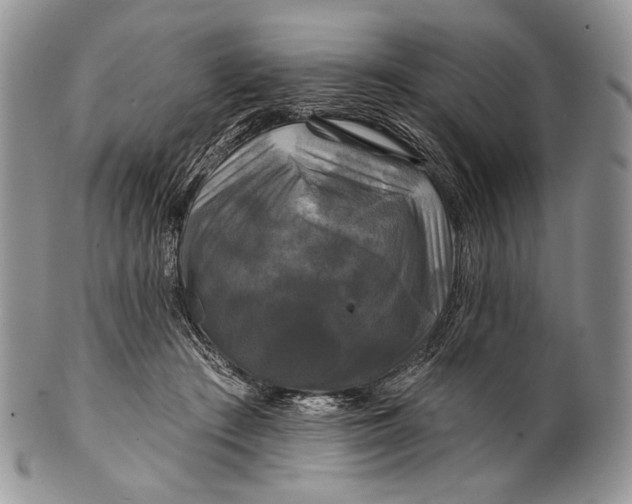 X0000100370409200806201632