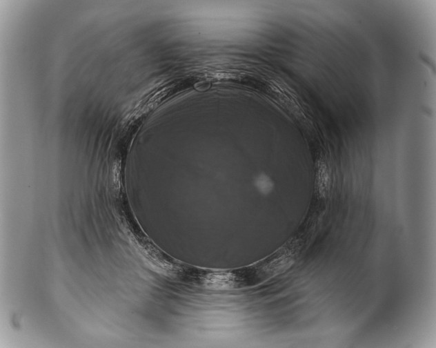 X0000100370410200806201632