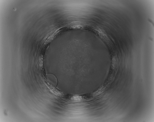 X0000100370413200806201632