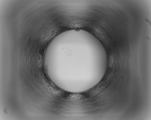 X0000100370414200806201632