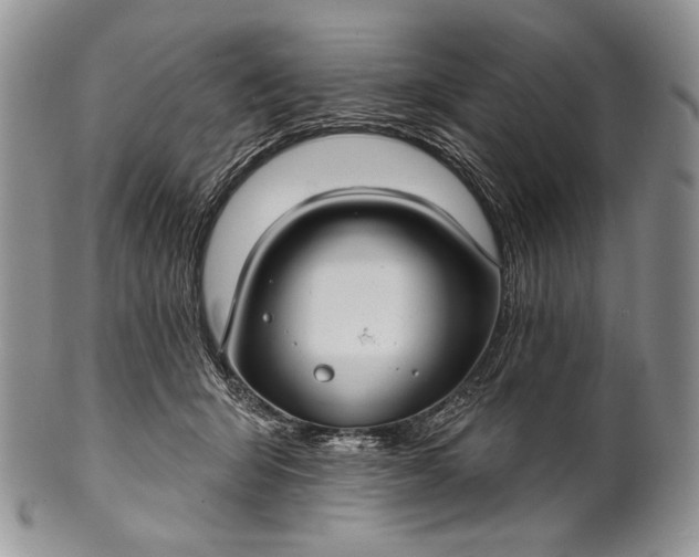 X0000100370415200806201632