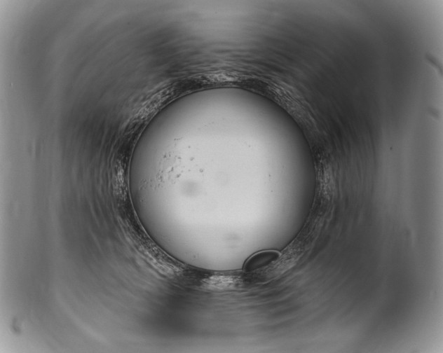 X0000100370418200806201632