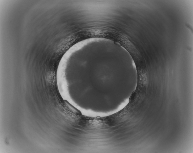 X0000100370419200806201632