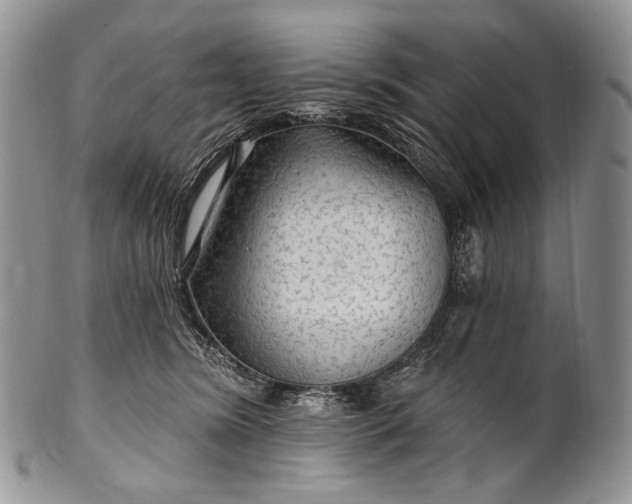 X0000100370420200806201632