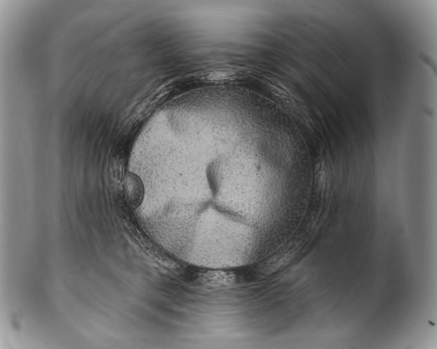 X0000100370421200806201632