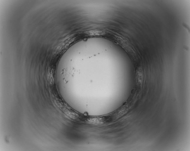 X0000100370422200806201632