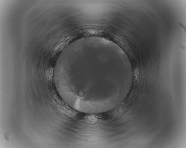 X0000100370423200806201632