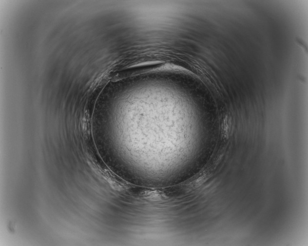 X0000100370424200806201632