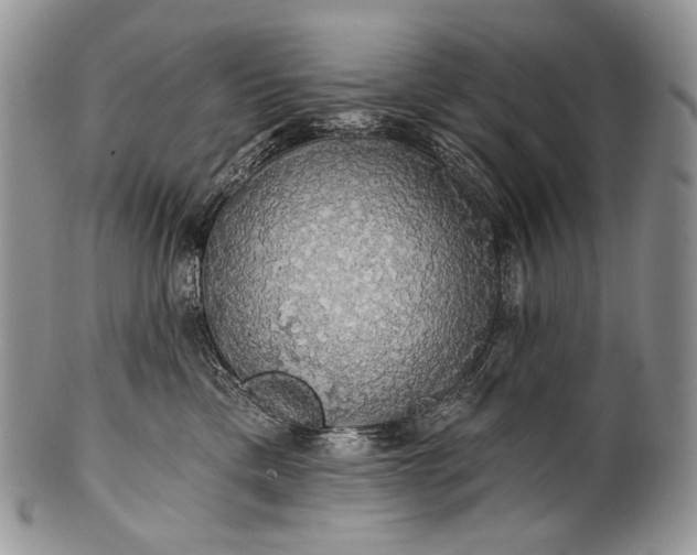 X0000100370425200806201632