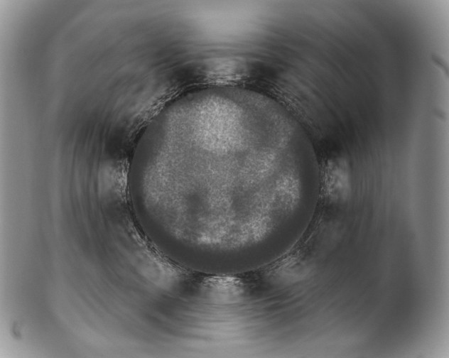 X0000100370427200806201632