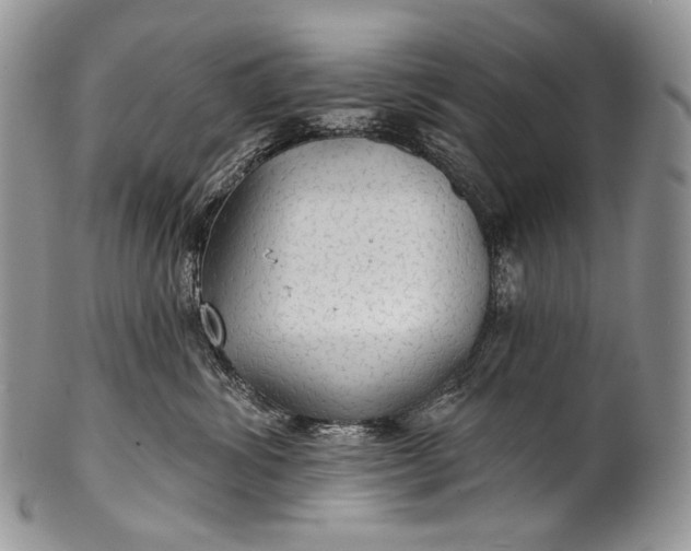 X0000100370428200806201632