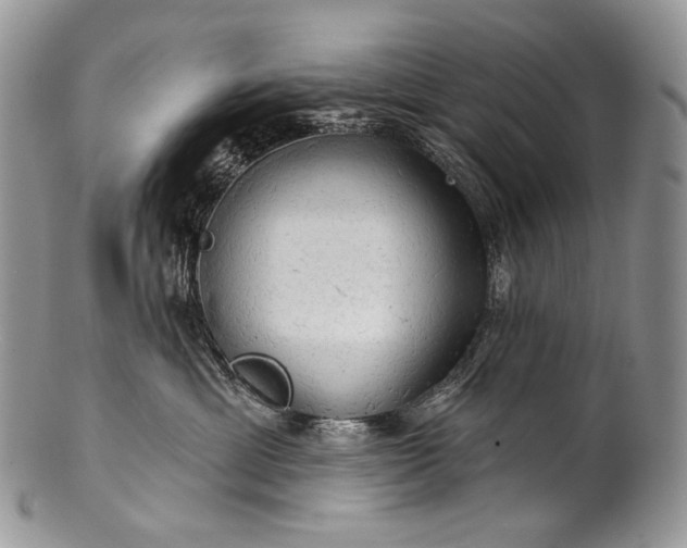 X0000100370429200806201632