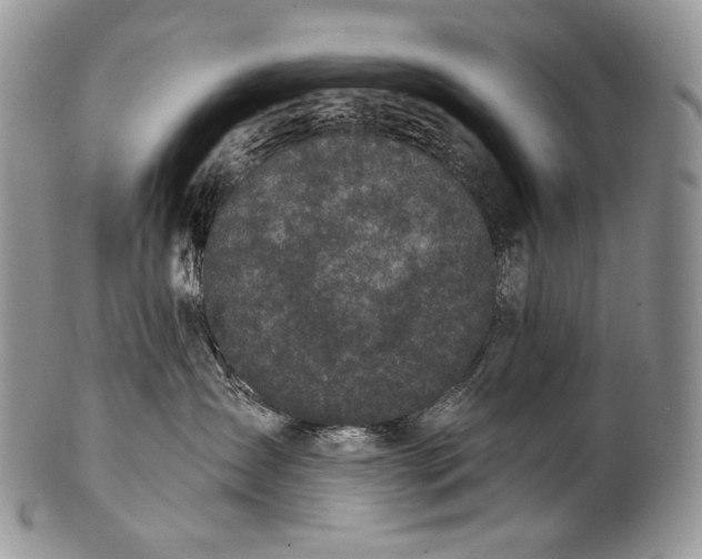 X0000100370431200806201632