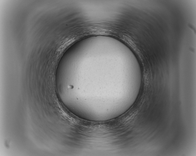 X0000100370433200806201631