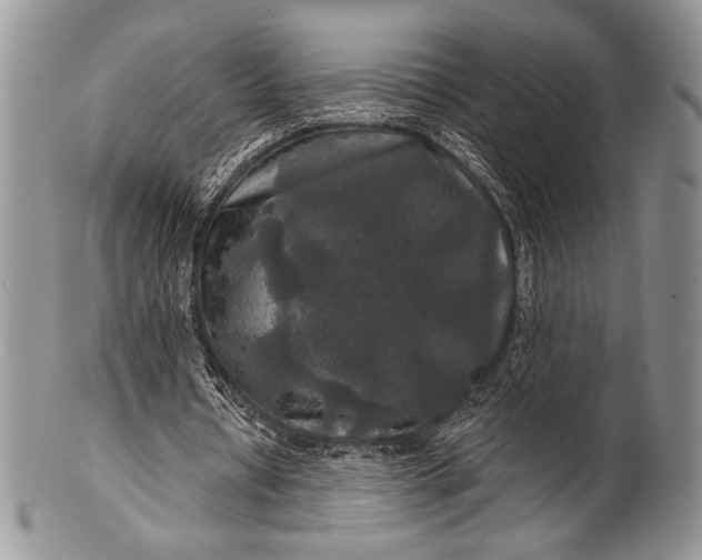 X0000100370434200806201631