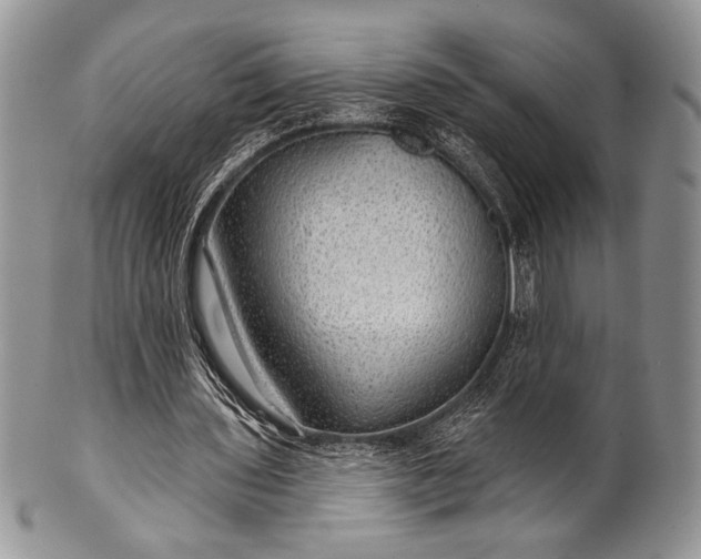 X0000100370435200806201631