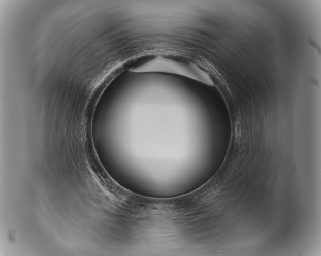 X0000100370436200806201631