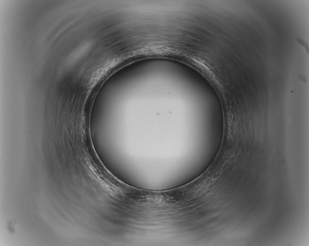 X0000100370439200806201631