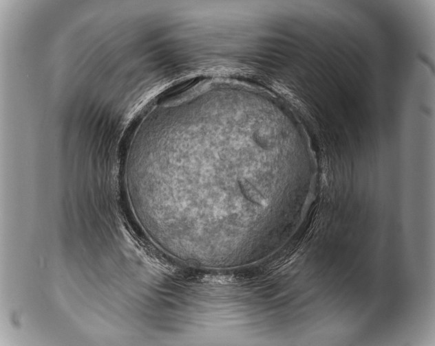 X0000100370440200806201631