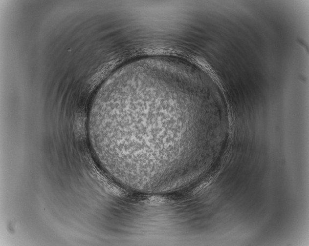 X0000100370441200806201631