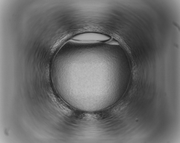 X0000100370442200806201631