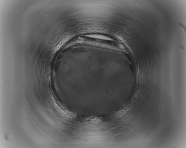 X0000100370443200806201631