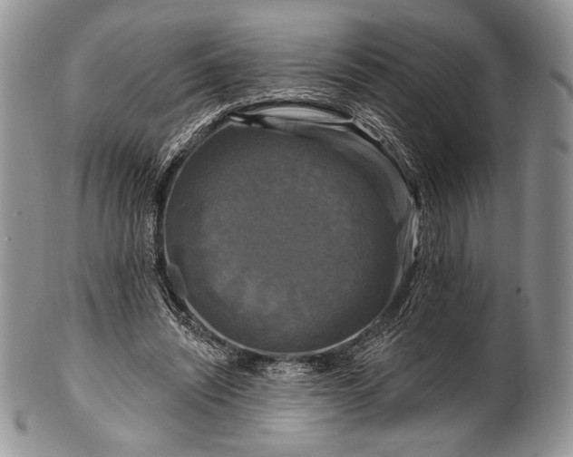 X0000100370444200806201631