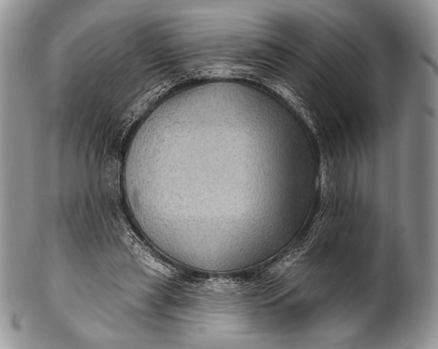 X0000100370445200806201631