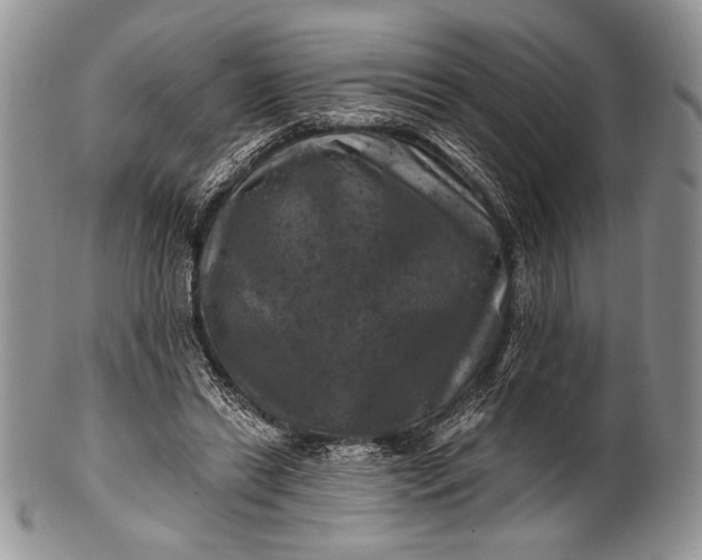 X0000100370446200806201631