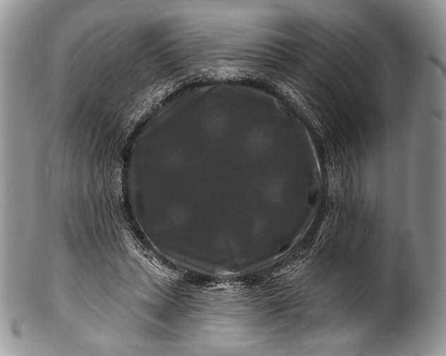 X0000100370447200806201631