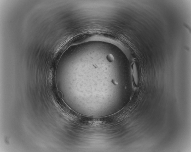 X0000100370448200806201631