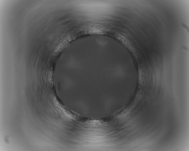 X0000100370449200806201631