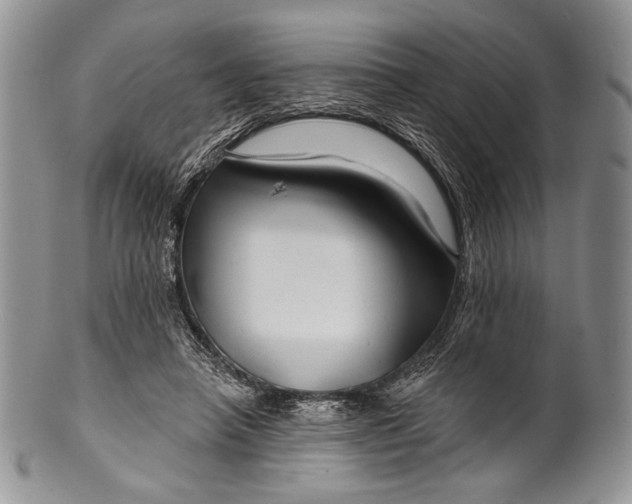 X0000100370450200806201631