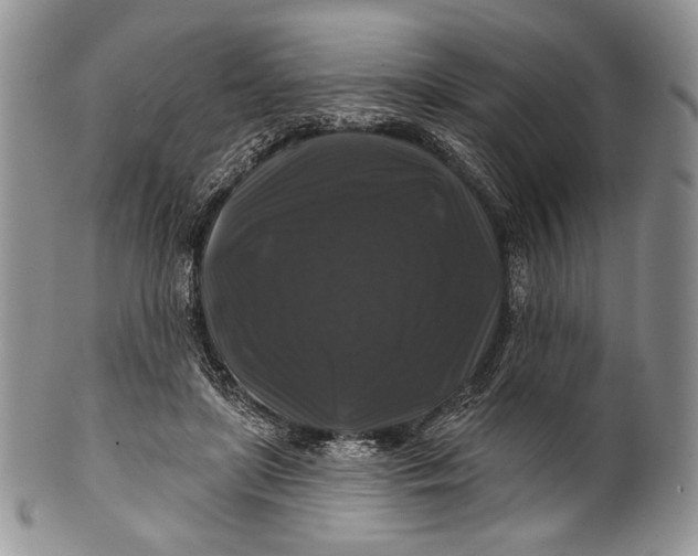 X0000100370451200806201631