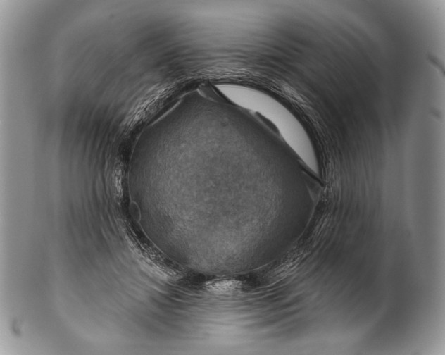 X0000100370452200806201631