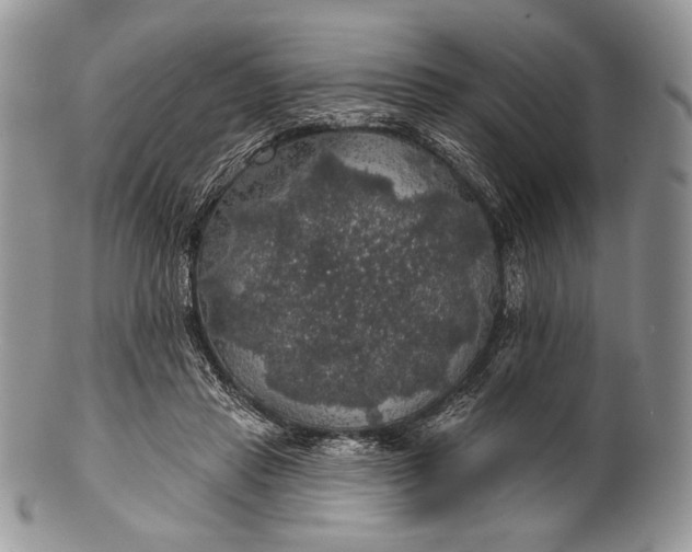 X0000100370453200806201631