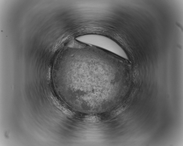 X0000100370454200806201632