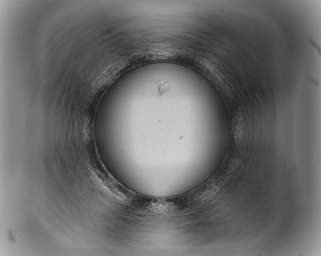 X0000100370455200806201632