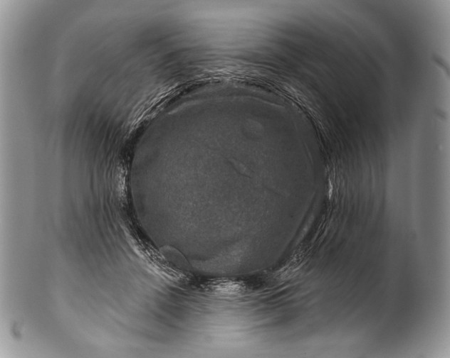 X0000100370456200806201632