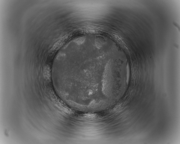 X0000100370457200806201632