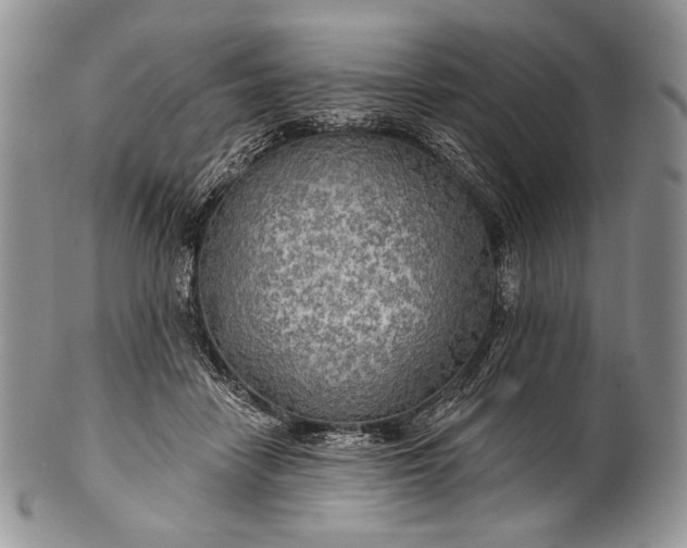 X0000100370458200806201632