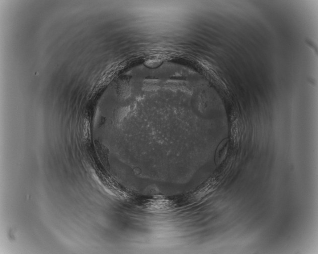 X0000100370459200806201632