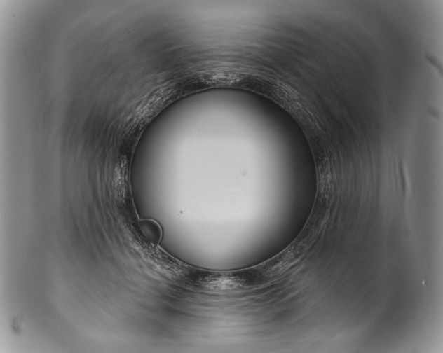 X0000100370460200806201632