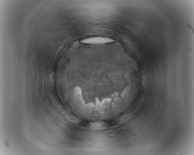 X0000100370461200806201632