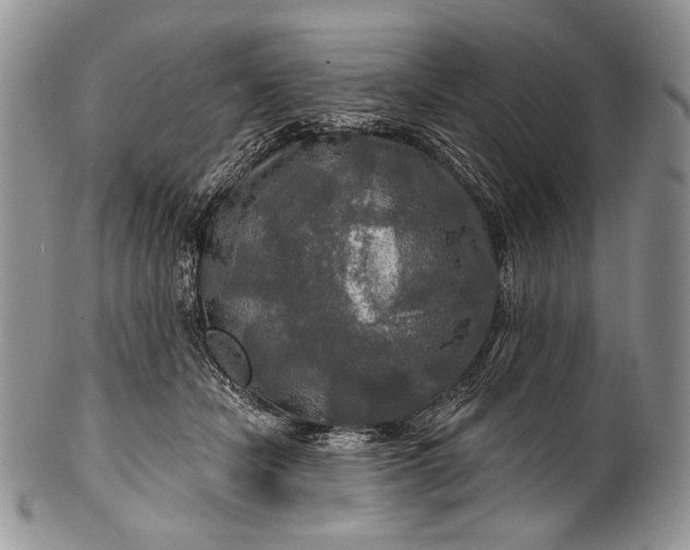 X0000100370462200806201632