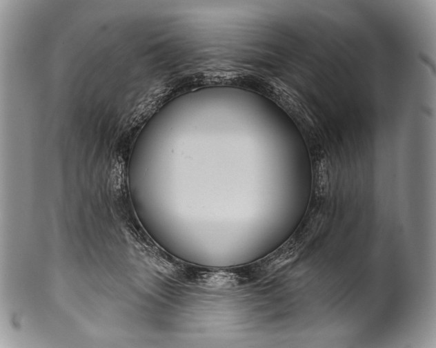 X0000100370463200806201632