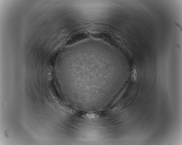 X0000100370464200806201632