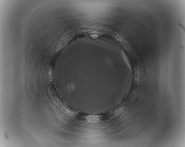 X0000100370465200806201632